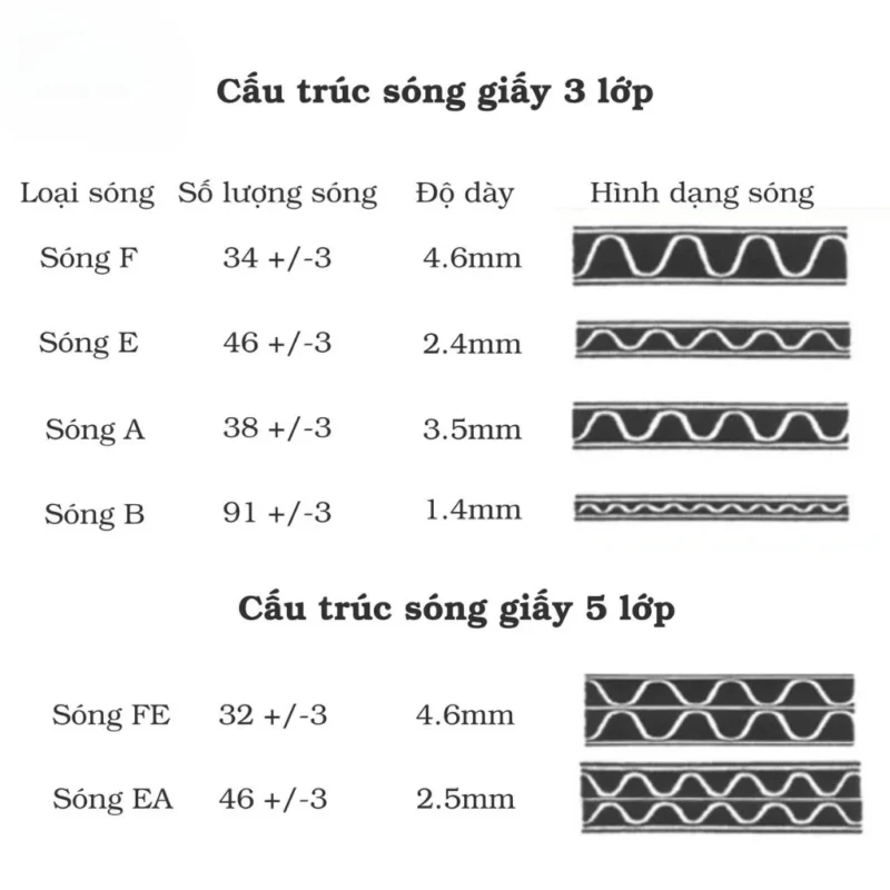 Định lượng giấy carton 5 lớp