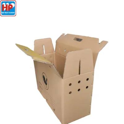 Thùng carton đựng gà đá, gà nòi, gà giống chuyên dụng, dễ vận chuyển