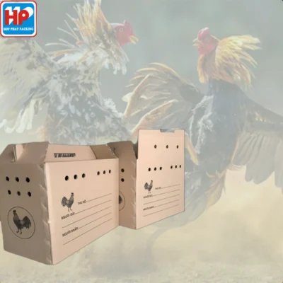 Thùng carton đựng gà đá, gà nòi, gà giống chuyên dụng, dễ vận chuyển